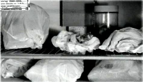 dahmer victim photos|Jeffrey Dahmer crime scene photos [WARNING:。